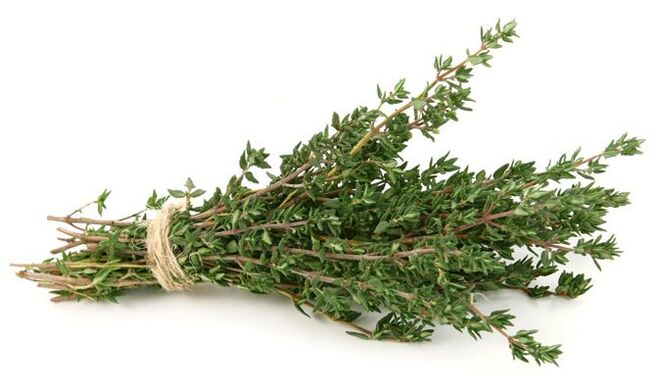 tymián na zväčšenie penisu